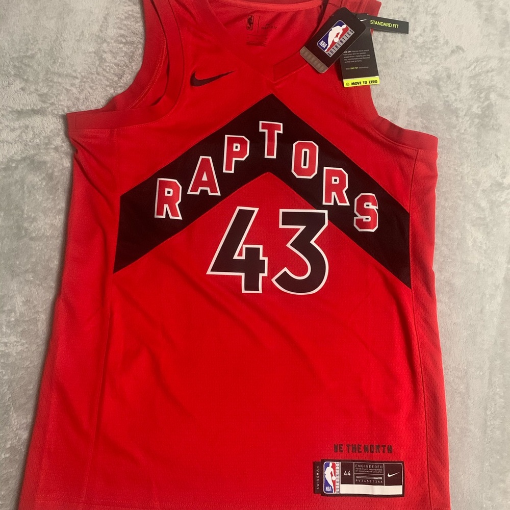 COPY - Authentic Nike Raptors Jersey